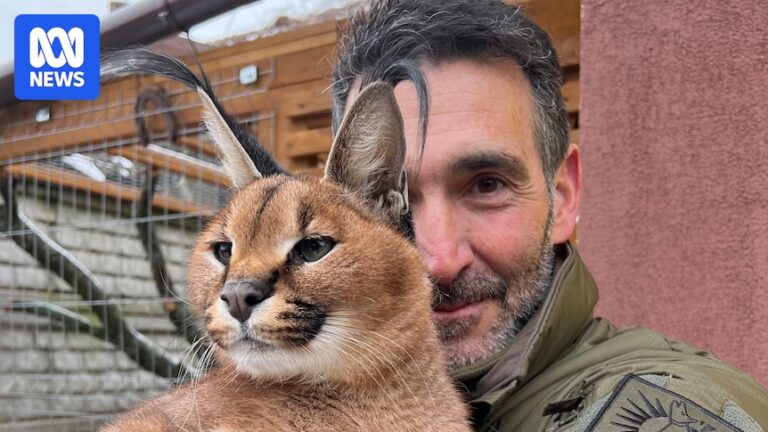 australians-aid-in-evacuating-ukrainian-zoos-amidst-war-chaos