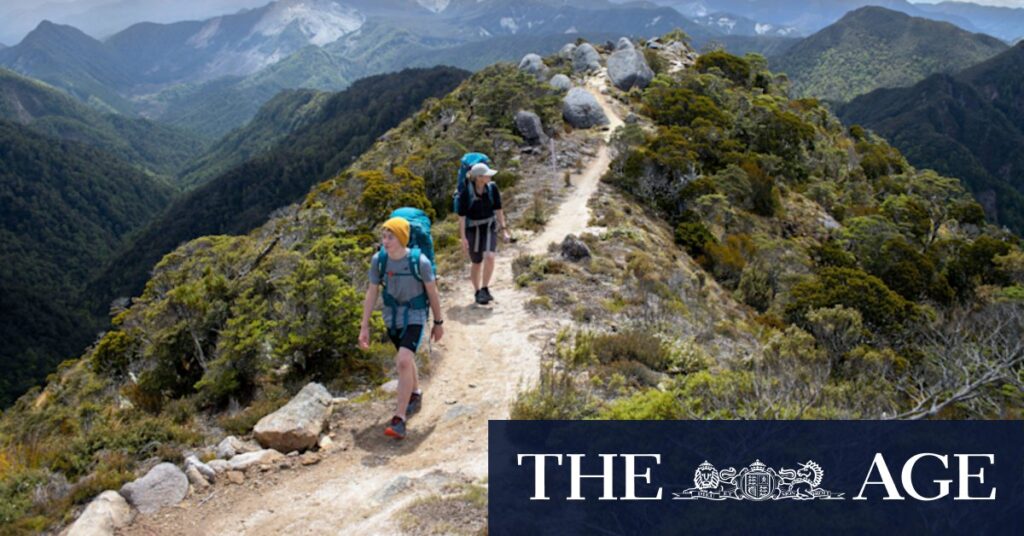 exploring-new-zealand-s-hump-ridge-track-a-great-walk-adventure