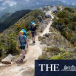 exploring-new-zealand-s-hump-ridge-track-a-great-walk-adventure