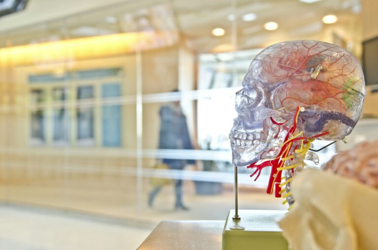 faulty-brain-protein-linked-to-severe-epilepsy-new-insights-unveiled