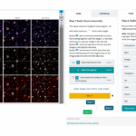 ai-and-citizen-science-revolutionize-emu-cataloging-of-radio-galaxies