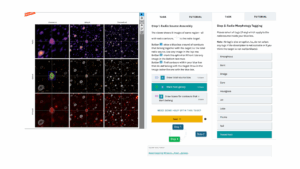 ai-and-citizen-science-revolutionize-emu-cataloging-of-radio-galaxies