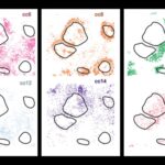 ai-tool-revolutionizes-cancer-treatment-with-precision-cell-mapping