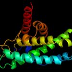 alzheimer-s-protein-linked-to-lung-cancer-spread-to-brain