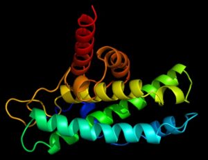 alzheimer-s-protein-linked-to-lung-cancer-spread-to-brain