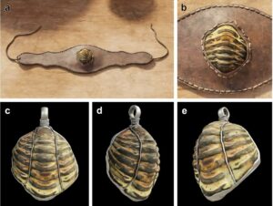 ancient-romans-used-fossil-amulets-for-magic-and-protection