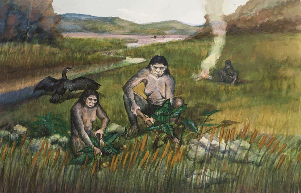 ancient-wooden-tools-unearthed-in-china-rewrite-early-human-history
