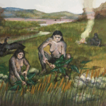 ancient-wooden-tools-unearthed-in-china-rewrite-early-human-history