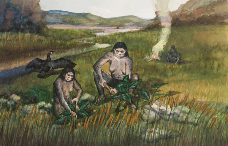 ancient-wooden-tools-unearthed-in-china-rewrite-early-human-history