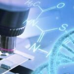 australian-scientists-unveil-proteins-that-could-combat-cancer-and-aging