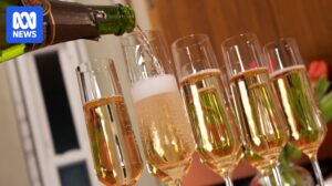 australian-tax-data-reveals-millionaires-paying-no-tax-and-income-disparities