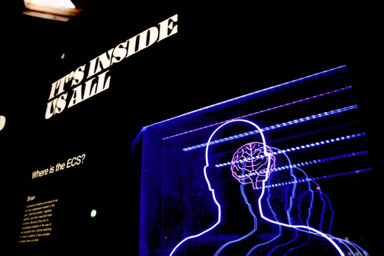 brain-s-immune-cells-play-crucial-role-in-protecting-vision
