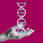 DNA molecule
