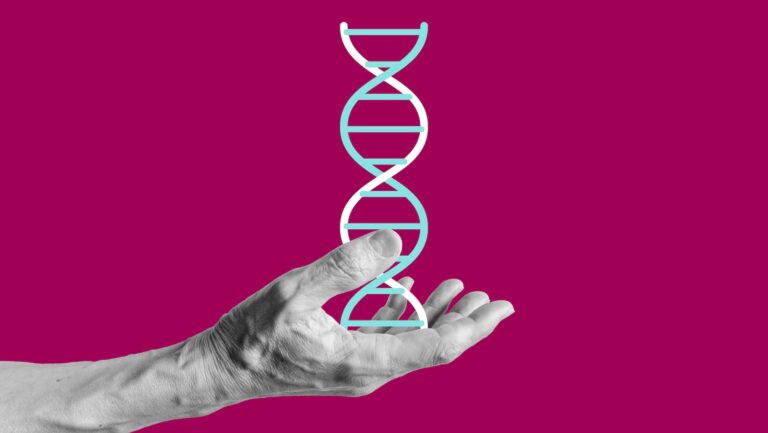 DNA molecule