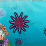 breakthrough-in-starfish-behavior-could-save-coral-reefs