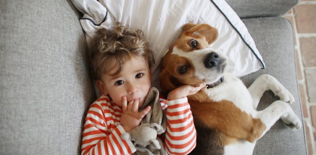 can-childhood-pets-reduce-the-risk-of-asthma-and-eczema-