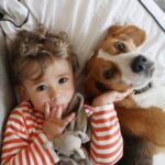 can-childhood-pets-reduce-the-risk-of-asthma-and-eczema-
