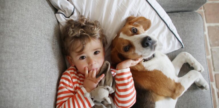 can-childhood-pets-reduce-the-risk-of-asthma-and-eczema-