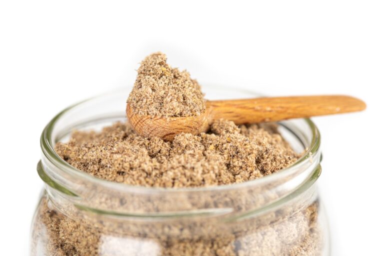 cricket-flour-revolutionizes-pasta-with-nutritional-and-eco-friendly-boost