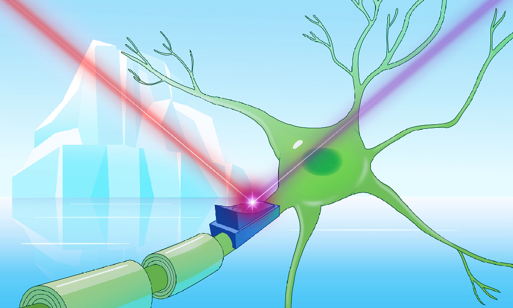 cryorhodopsins-cold-adapted-proteins-unlock-new-scientific-frontiers