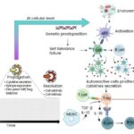 cytokines-key-players-in-autoimmune-disease-pathogenesis-and-therapy