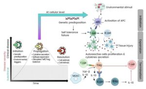 cytokines-key-players-in-autoimmune-disease-pathogenesis-and-therapy