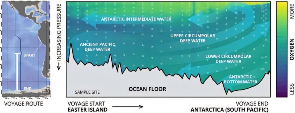 deep-ocean-currents-drive-microbial-diversity-in-south-pacific-study-reveals