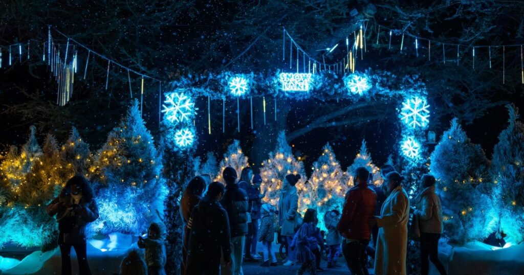 discover-canberra-s-vibrant-events-christmas-in-july-art-exhibitions-and-more
