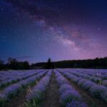 discovery-of-high-velocity-clouds-in-galaxy-m83-offers-new-insights