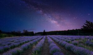 discovery-of-high-velocity-clouds-in-galaxy-m83-offers-new-insights