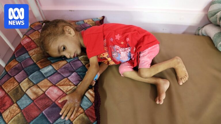 gaza-s-malnutrition-crisis-deepens-amidst-israel-iran-conflict