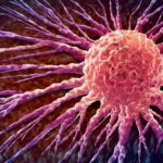 gene-disruption-alters-vitamin-d-metabolism-and-cancer-pathways