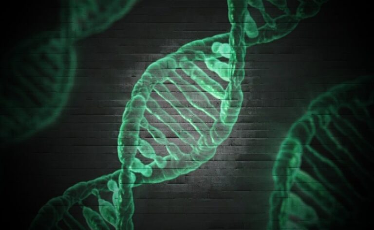 genetic-roadmap-reveals-new-links-between-obesity-and-diabetes
