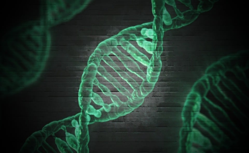 genetic-roadmap-reveals-new-links-between-obesity-and-diabetes