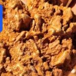 gold-rush-revival-prospectors-flock-to-western-australia-after-huge-nugget-find