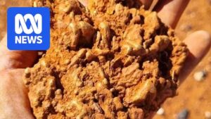 gold-rush-revival-prospectors-flock-to-western-australia-after-huge-nugget-find