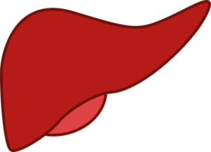 groundbreaking-liver-disease-screening-study-reaches-2000-participants