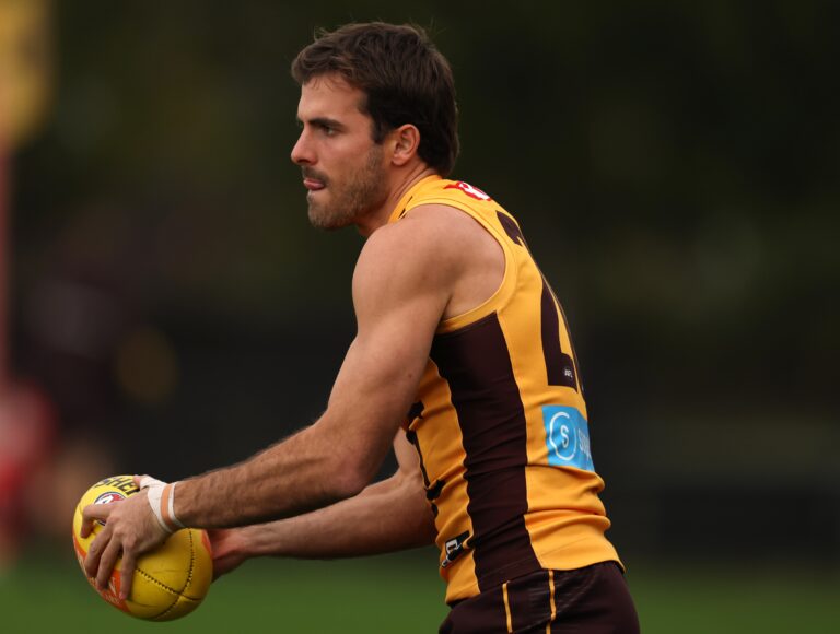 hawthorn-s-finn-maginness-faces-recovery-after-kidney-injury