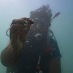 indigenous-rangers-dive-into-history-on-wa-s-burrup-peninsula
