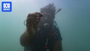indigenous-rangers-dive-into-history-on-wa-s-burrup-peninsula
