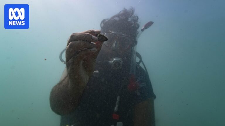 indigenous-rangers-dive-into-history-on-wa-s-burrup-peninsula