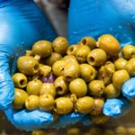 innovative-olive-processing-in-australia-promises-new-flavors-and-lower-costs