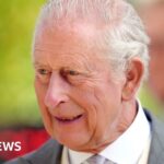 king-charles-honors-antarctic-scientists-with-midwinter-message