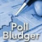 labor-maintains-lead-in-post-election-polls-legal-challenge-in-bradfield-looms