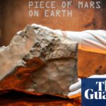 mars-meteorite-sells-for-5-3-million-at-new-york-auction