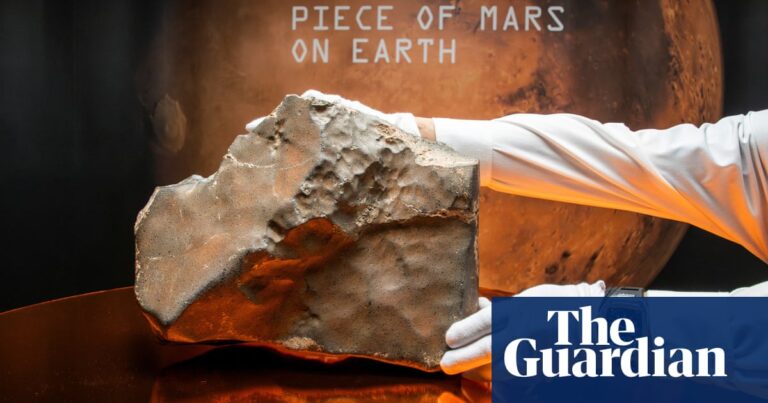 mars-meteorite-sells-for-5-3-million-at-new-york-auction
