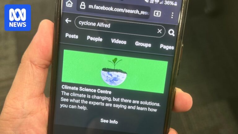 meta-blocks-facebook-searches-for-cyclone-alfred-amid-storm-threat
