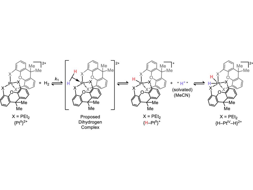 new-pathway-in-chemical-reactions-unveiled-by-penn-state-researchers