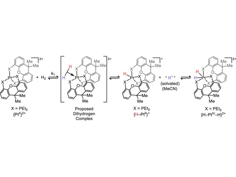 new-pathway-in-chemical-reactions-unveiled-by-penn-state-researchers