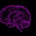 new-study-challenges-link-between-contact-sports-and-brain-protein-buildup
